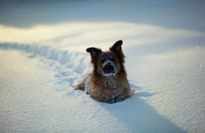 【世界一位は意外な「雪の町」だった！】世界で最も雪の降る町ベスト7