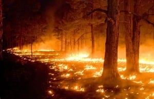 【World News】チェルノブイリの放射能が山火事によって世界に拡散！？