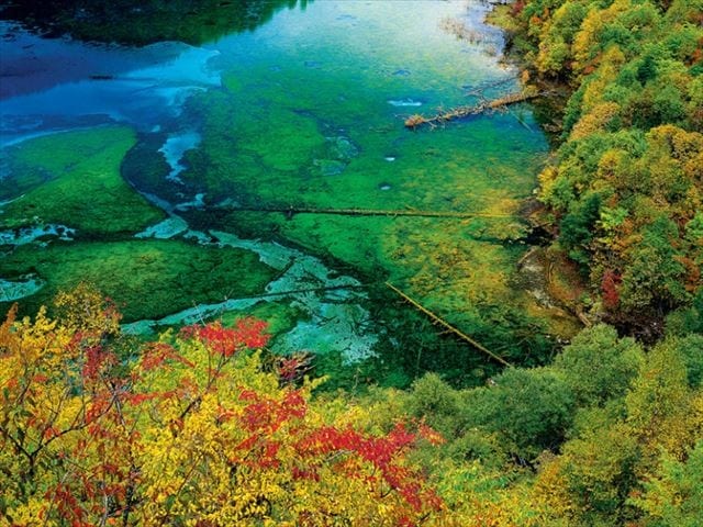 世界の絶景800px-九寨沟五花海_R