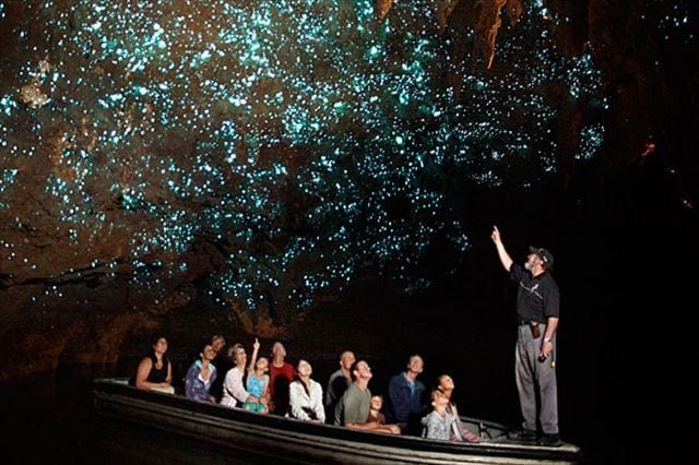 世界の絶景Waitomo-Glowworm-Cave_Br_R