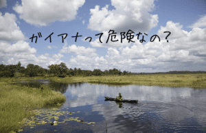 ガイアナ旅行の治安や対策
