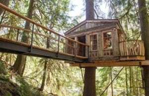 誰もが童心に帰れる場所「ツリーハウスポイント（TreeHouse Point）」